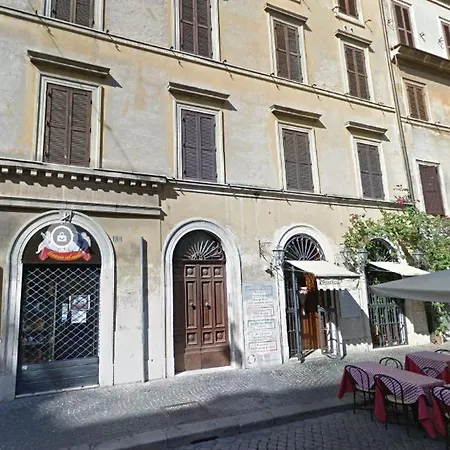 Dng House - Vatican Collection 80 Square-2